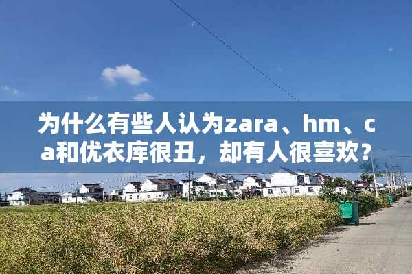 为什么有些人认为zara、hm、ca和优衣库很丑，却有人很喜欢？
