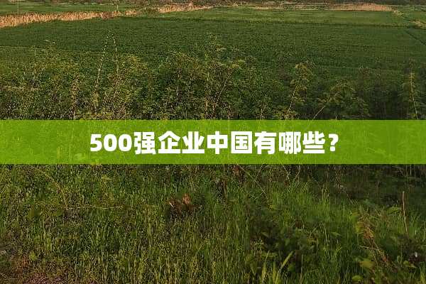 500强企业中国有哪些？