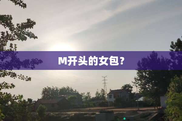 M开头的女包？