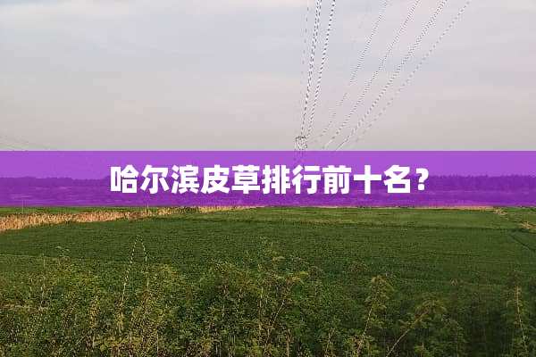 哈尔滨皮草排行前十名？