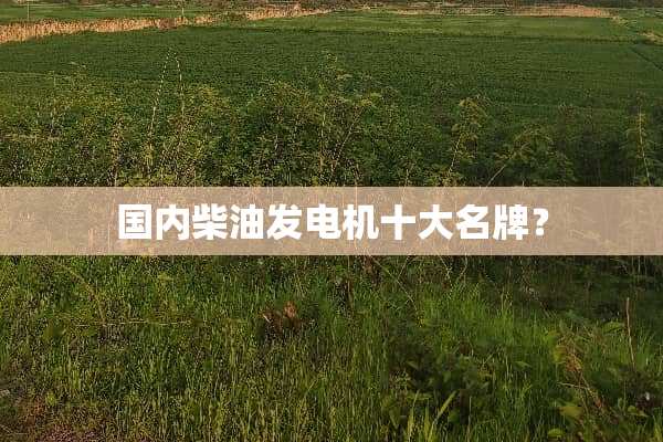 国内柴油发电机十大名牌？