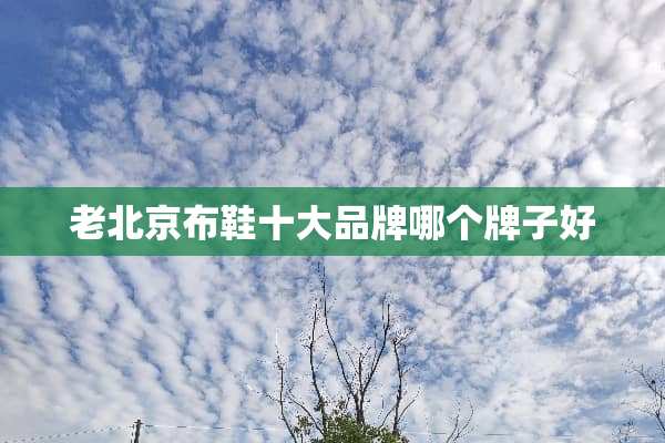 老北京布鞋十大品牌哪个牌子好