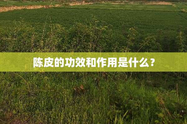 陈皮的功效和作用是什么？