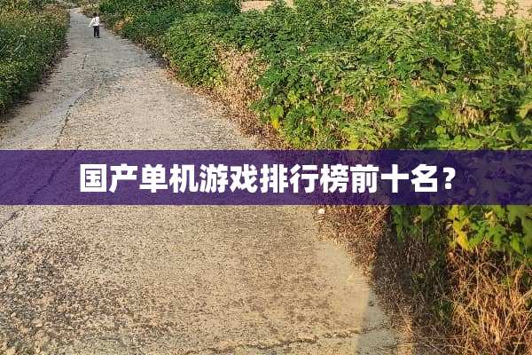 国产单机游戏排行榜前十名？