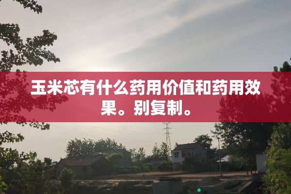 玉米芯有什么药用价值和药用效果。别复制。