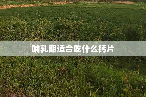 哺*期适合吃什么钙片