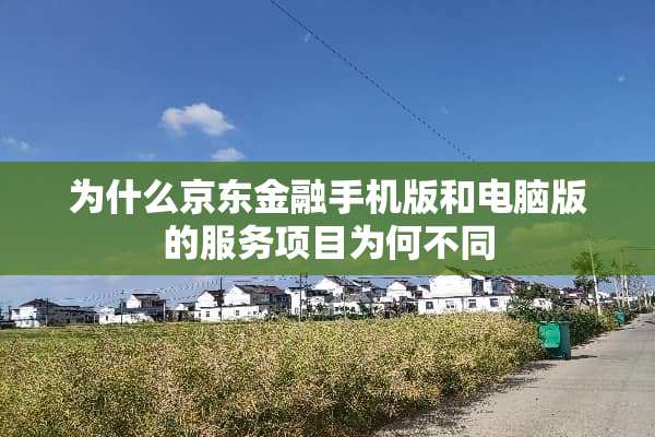 为什么京东金融手机版和电脑版的服务项目为何不同