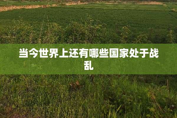 当今世界上还有哪些国家处于战乱