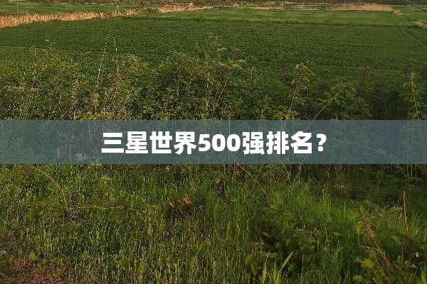 三星世界500强排名？