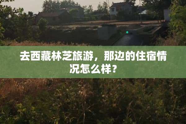 去西藏林芝旅游，那边的住宿情况怎么样？