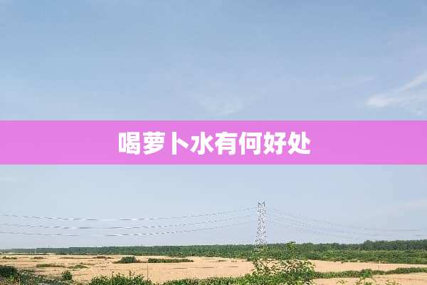 喝萝卜水有何好处