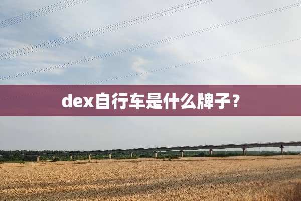 dex自行车是什么牌子？