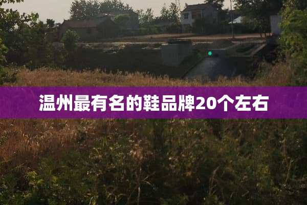 温州最有名的鞋品牌20个左右