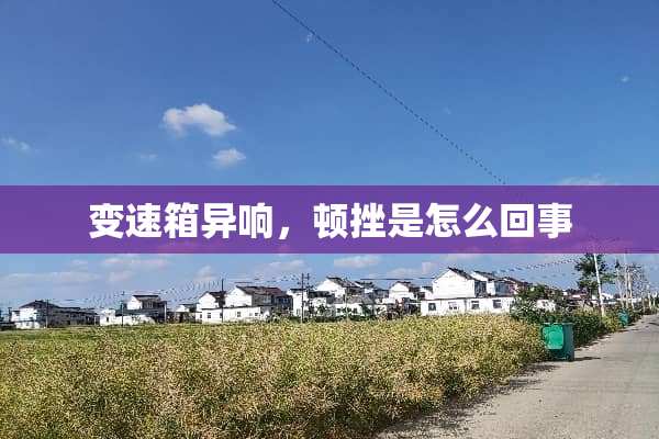 变速箱异响，顿挫是怎么回事