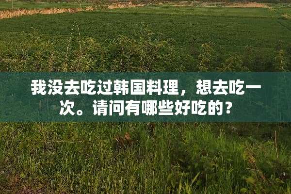 我没去吃过韩国料理，想去吃一次。请问有哪些好吃的？