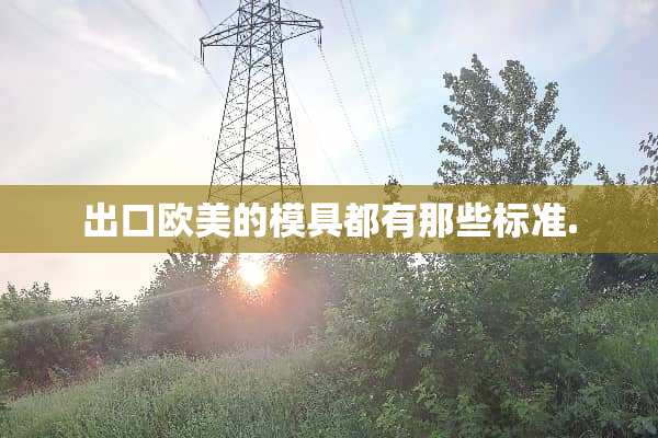 出口欧美的模具都有那些标准.