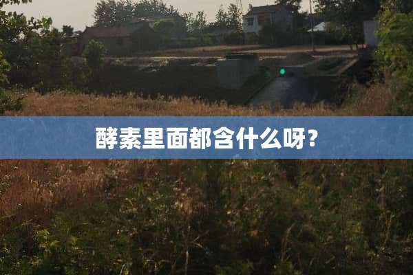 酵素里面都含什么呀？