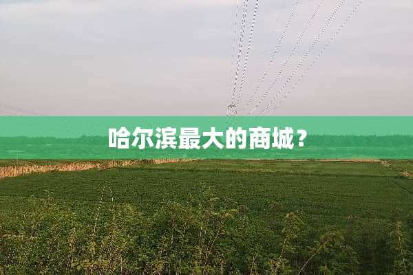 哈尔滨最大的商城？