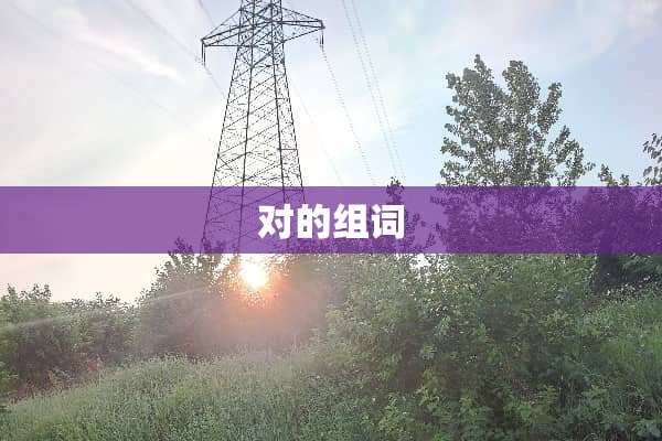 对的组词