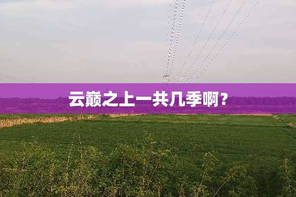 云巅之上一共几季啊？