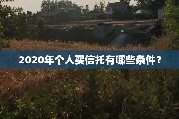 2020年个人买信托有哪些条件？