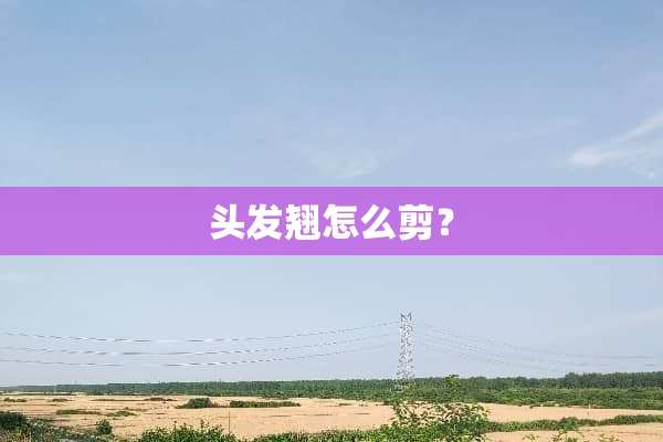 头发翘怎么剪？