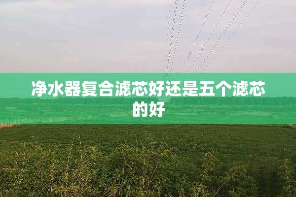***复合滤芯好还是五个滤芯的好
