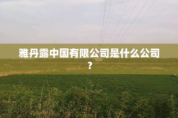 雅丹露中国有限公司是什么公司？