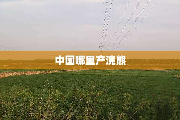 中国哪里产浣熊