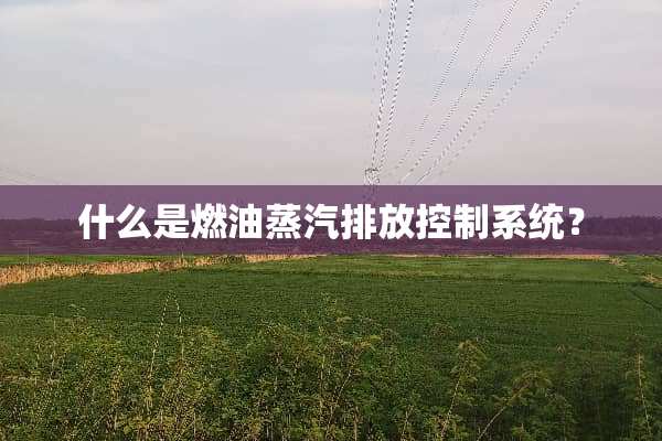 什么是燃油蒸汽排放控制系统？