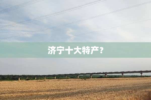济宁十大特产？