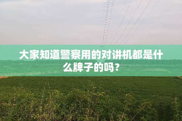 大家知道**用的对讲机都是什么牌子的吗？