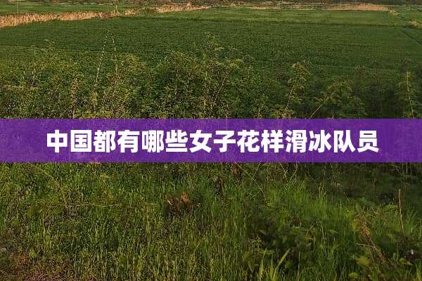 中国都有哪些女子花样滑冰队员