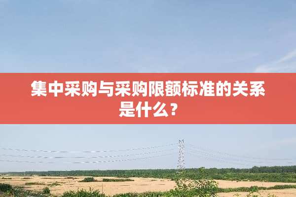 集中采购与采购限额标准的关系是什么？
