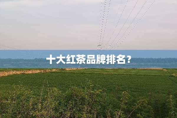 十大红茶品牌排名？