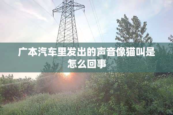 广本汽车里发出的声音像猫叫是怎么回事