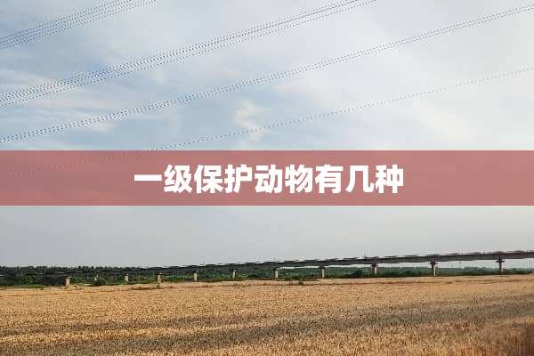 一级保护动物有几种