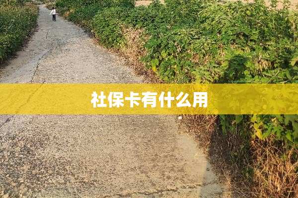 社保卡有什么用