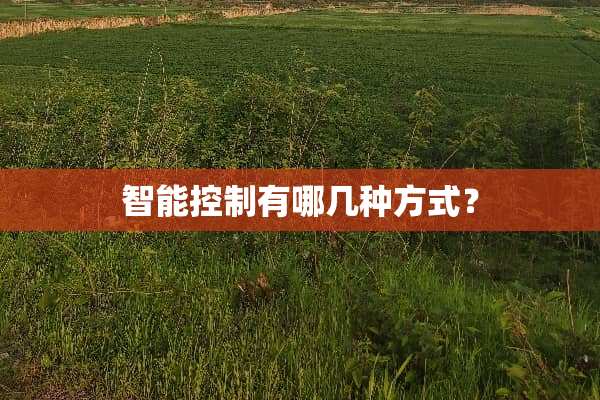 智能控制有哪几种方式？