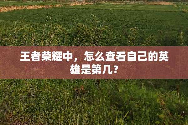 王者荣耀中，怎么查看自己的英雄是第几？