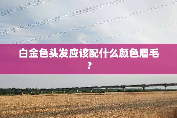 白金色头发应该配什么颜色眉毛？