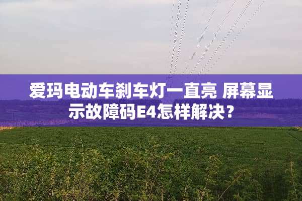 爱玛电动车刹车灯一直亮 屏幕显示故障码E4怎样解决？
