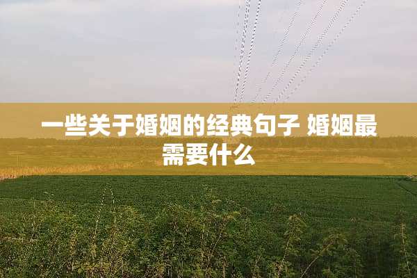 一些关于婚姻的经典句子 婚姻最需要什么