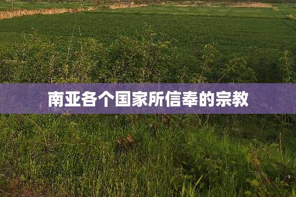 南亚各个国家所信奉的宗教