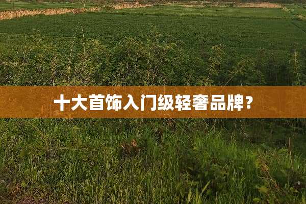 十大首饰入门级轻奢品牌？