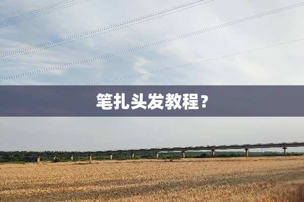笔扎头发教程？