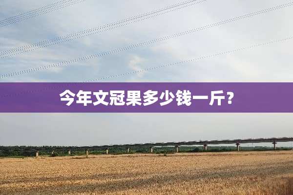 今年文冠果多少钱一斤？