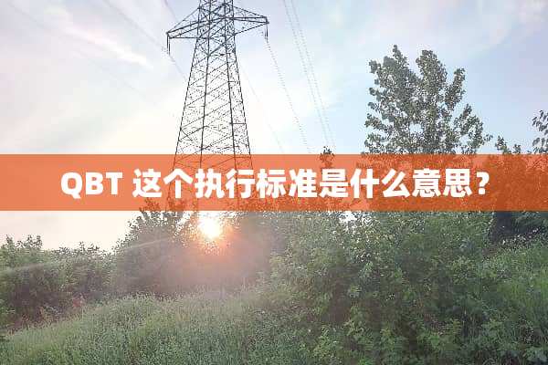 QBT 这个执行标准是什么意思？