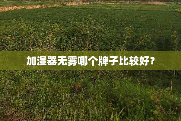 加湿器无雾哪个牌子比较好？