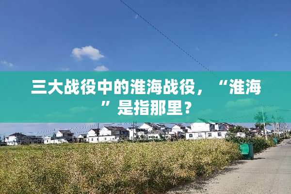 三大战役中的淮海战役，“淮海”是指那里？